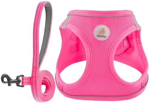 Dog Harness and Leash Set, No Pull Soft Mesh Puppy Harness for Small Medium Dogs, Cats - Step in Reflective Breathable Lightweight Vest Harness for Walking, Training - Rose Red, XXS - color: Rose Red, size: XXS (Chest: 11"-12.5")