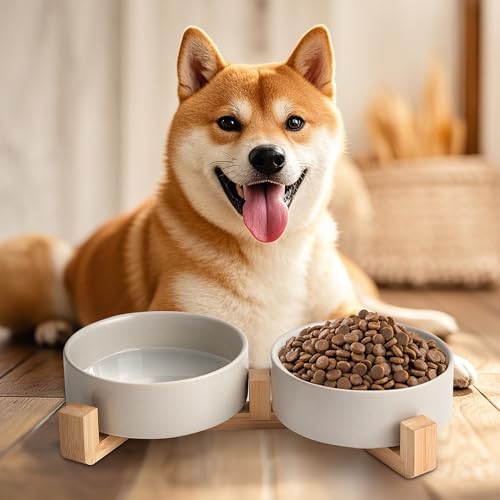 Mowtanco Grey Ceramic Dog & Cat Bowl Set – 13.5 OZ with Wooden Stand, Non-Slip, Elevated Design for Small Dogs & Cats – 2 Bowls (Food & Water, Ceramic Pet Bowls, Modern Dog Bowls) - color: Gray × 2