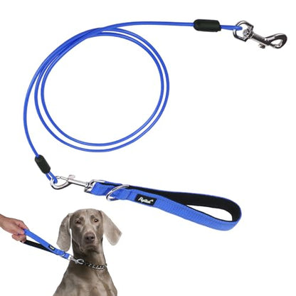PUPTECK Chew Proof Dog Leash with Detachable Short Leashes Padded Handle Reflective, Heavy Duty Steel Cable Lead for Small Medium Large Dogs Training Walking, Blue 4.9ft - color: Blue