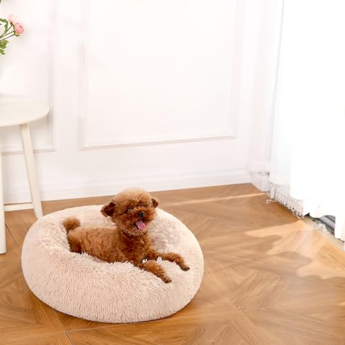 Amazon Basics Washable Donut Pet Bolster Faux Fur Bed with Removable Cover, Anti-Slip Bottom for Dog, Beige, 23" x 23" - color: Beige, size: 23" x 23"