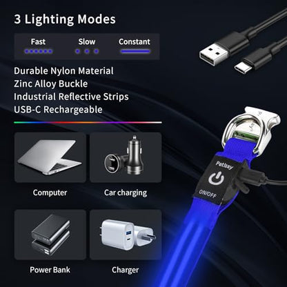 LED Dog Collar with Metal Buckle - USB Rechargeable Glow Collar for Dogs, Waterproof Light Up Dog Collar w/Reflective Strips - Adjustable Night Safety Collars by PetIsay(Blue, Small) - color: Blue(Fiber optic version), size: Small (11" - 15½ ")