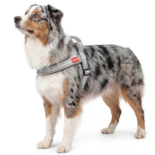 No Pull Dog Harness with Handle, Corgi Adjustable Reflective Dog Vest, Breathable Air Mesh Padded Pet Harness with Front Leash Clip for Small Medium Dogs, Light Grey, XL - color: Light Grey, size: X-Large