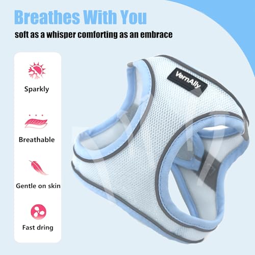 Sparkly Dog Harness Small Sized and Leash Set for Small Dogs Cats,Blue XXS Puppy Harness, Step in Soft Dog Reflective Vest, Breathable Mesh Pet Harness. (Blue, XXS) - color: Blue, size: XXS