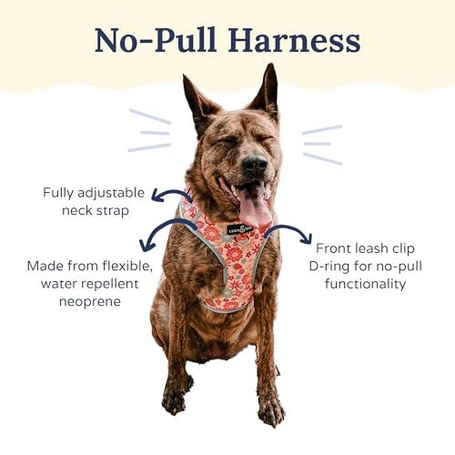 Lucy & Co. The Y2K Baby No-Pull Dog Harness - Size Small - Vest to Stop Pulling & Walk Easy - Comfortable Leash Training Product w/Adjustable Chest & Neck Straps - color: The Y2K Baby No-Pull Harness, size: Small
