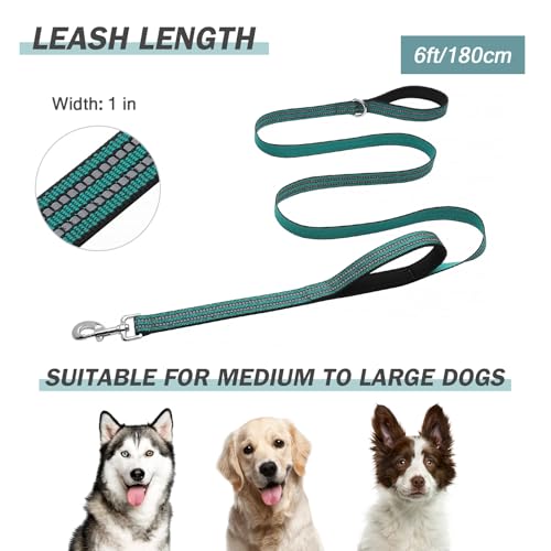 Hikiko 6 FT Heavy Duty Dog Leash with 2 Padded Handles Reflective Nylon Double Handle Dog Leash, Dark Green - color: Dark Green, size: 1 in x 6 ft