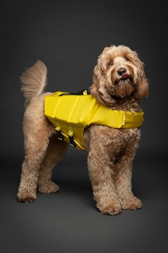 NOAH & PAW Dog Life Jacket, Human Standards Lifejacket Design, Dog Life Vest for Swimming and Boating, 3X Foam Support for Max Floating, Breathable Mesh, Salvavidas para Perros, Size M - size: M