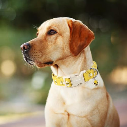 ARING PET Bees Dog Collar, Cute Spring Summer Yellow Bee Pet Collars for Puppy Small Medium Large Boy Girl Dogs-XS - color: Bees-Yellow, size: X-Small
