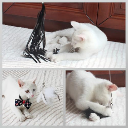 Cat Wand Toys for Indoor Cats - Cat Toy Set with Retractable Teaser Wand and 6 PCS Feather Toy Refills, Dragonfly Tassel Cat Toys Interactive, Black - color: Black