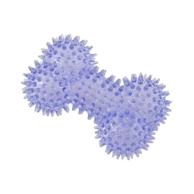 Squeaky Spiky Dog Bone Toy for Teeth Cleaning & Gum Massage 4.4 Inch Small Medium Dogs Purple | Spiny TPR Rubber Chew Toy for Fetch Play Interactive Bouncy Dental Bone Durable BPA Free Nontoxic Floats - size: Purple, Bone 1-Pack