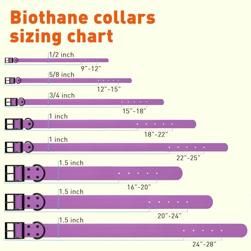 Dogline Biothane Waterproof Dog Collar Strong Coated Nylon Webbing with Black Hardware Odor- Proof for Easy Care Easy to Clean High Performance Fits Small Medium or Large Dogs, Amethyst Purple