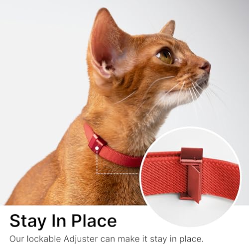 Safety Cat Collar Pro, Lightweight Elastic Release Non Breakaway Cat Collar Adjustable with Snap Fastener for Kitten All Small Large Cats, US IDA Gold Award (Monet Purple, M 7.9-15.7") - color: Monet Purple, size: M 7.9-15.7"
