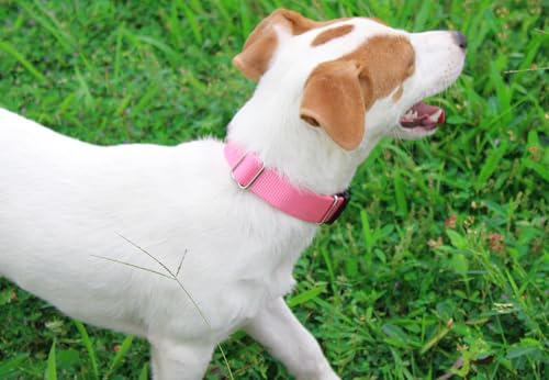 Mikivery Nylon Dog Collar with Quick Release Buckle Soft Adjustable Sturdy for Small Medium Large Dogs Pink,M - color: BabyPink, size: M：13"-20"