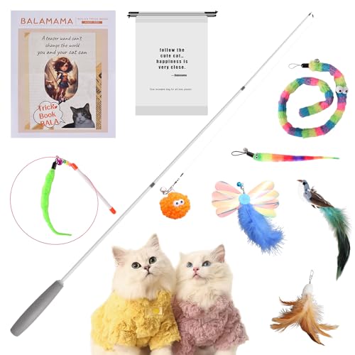 Premium Interactive Cat Wand Toy, Indoor Toy for Kittens and Cats, Educational Feather Cat Toy with Real Feathers.