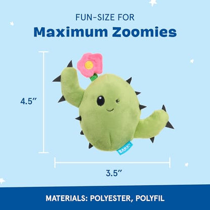 Barkbox 2 in 1 Interactive Plush Dog Toy - Rip and Reveal Toy for Dogs and Puppies - Stimulating Squeaky Pet Toys | Consuela Cactus (Small) - color: Consuela - Small, size: Small Dog