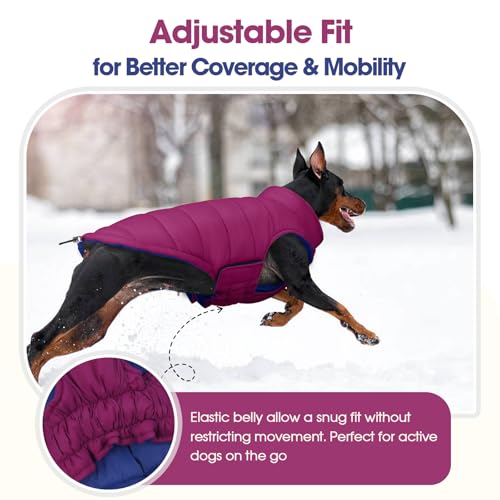 QBLEEV Reversible Dog Jacket for Large Dogs, Waterproof Windproof Winter Coat with Adjustable Hook & Loop Design, Lightweight Puffer Vest Keeps Dogs Warm & Dry, Purple, XL – Fits Pitbull, Boxer - color: Violet-Blue, size: X-Large