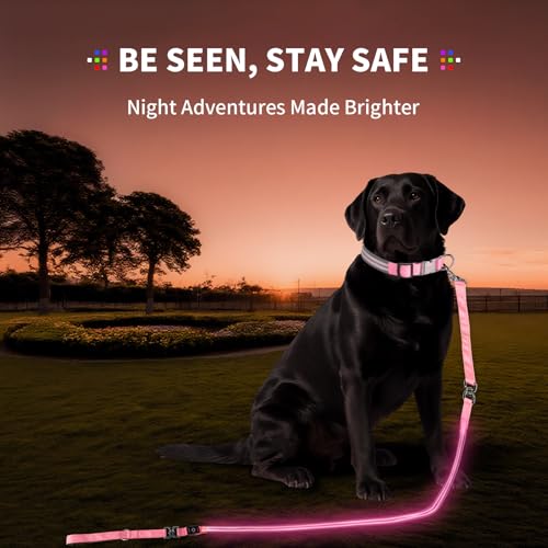 Night Walking LED Dog Leash - 6FT Reflective & Waterproof Light Up Safety Leashes for Dogs - USB Rechargeable, Pink - color: Pink(Fiber optic version)