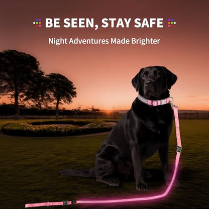 Night Walking LED Dog Leash - 6FT Reflective & Waterproof Light Up Safety Leashes for Dogs - USB Rechargeable, Pink - color: Pink(Fiber optic version)