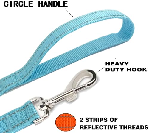 Reflective Dog Leash 4Ft /5 Foot /6 Feet Long, 1 Inch Wide, for Small and Medium Dogs - color: Reflective Sky Blue, size: 1'' x 4 FT