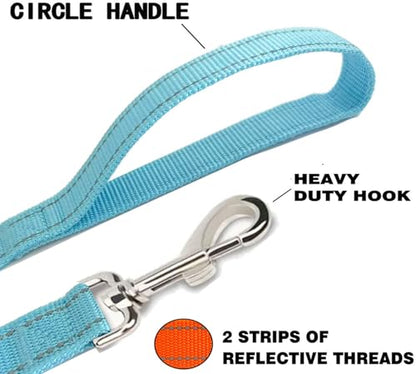 Reflective Dog Leash 4Ft /5 Foot /6 Feet Long, 1 Inch Wide, for Small and Medium Dogs - color: Reflective Sky Blue, size: 1'' x 4 FT