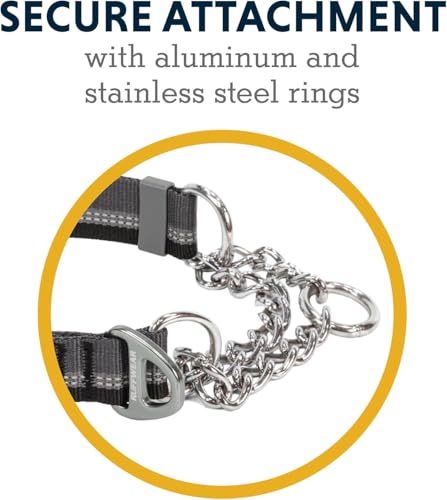 Ruffwear, Chain Reaction Dog Collar, Adjustable Reflective Martingale Escape-Proof Collar with Stainless Steel Chain, Professional Training Control, Basalt Gray, 14"-20" - color: Basalt Gray, size: 14"-20"