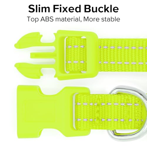 BSEEN Light Up Dog Collars - Glowing LED Dog Collar Rechargeable Puppy Collar for Small Dogs & Cats, Safety Dog Lights for Night Walking (Green) - color: Green