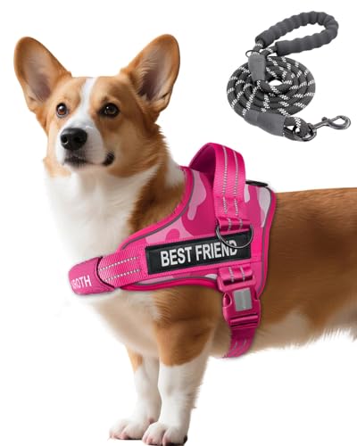 AUROTH Dog Harness and Leash Set, Soft Padded Service Dog Vest with 5.25FT Dog Leash, No Choke, Easy On Pet Vest, Adjustable Reflective No Pull Dog Harness Small Sized Dog, Easy Walking and Training - color: Pink Camo, size: Small