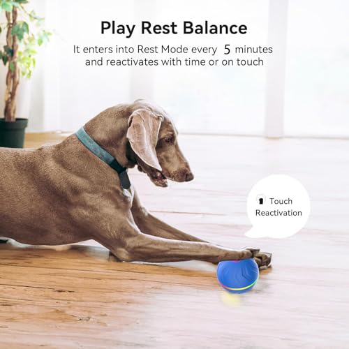 Interactive Dog Toys Dog balls, Automatic Moving Bouncing Rotating Interactive Dog Ball, Durable Motion Activated Automatic Rolling Ball Toys for Puppy Small Medium Large Dogs, Anti Boredom Dog Toys - color: Blue