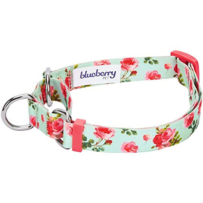 Blueberry Pet Spring Scent Inspired Rose Print Martingale Safety Training Dog Collar, Turquoise, Large, Heavy Duty Adjustable Collars for Dogs - color: Turquoise, size: Large