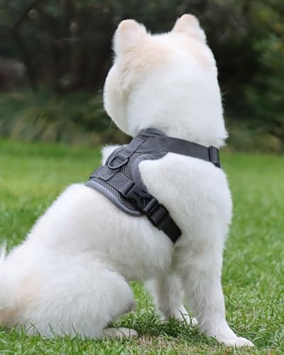 Reflective Adjustable Dog Harness with Leash Breathable No-Pull Pet Vest for Walking and Training DJA702-04XL - color: Grey, size: X-Large
