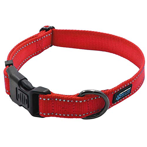 Max and Neo NEO Nylon Buckle Reflective Dog Collar - We Donate a Collar to a Dog Rescue for Every Collar Sold (Large, RED) - color: Red, size: Large