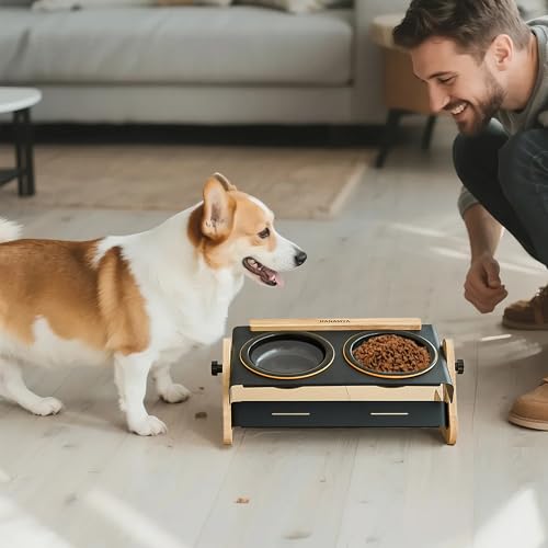 Pet Bowl Set with Ceramic Bowl and Iron-Wood Stand, Adjustable Height & Angle, Black