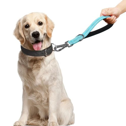12 Inch Training Short Leash with Padded Handle for Large Dogs, Dog Lead with Locking Carabiner Clip, Strong Training Safety Leash (Blue, 12 Inch) - color: Blue
