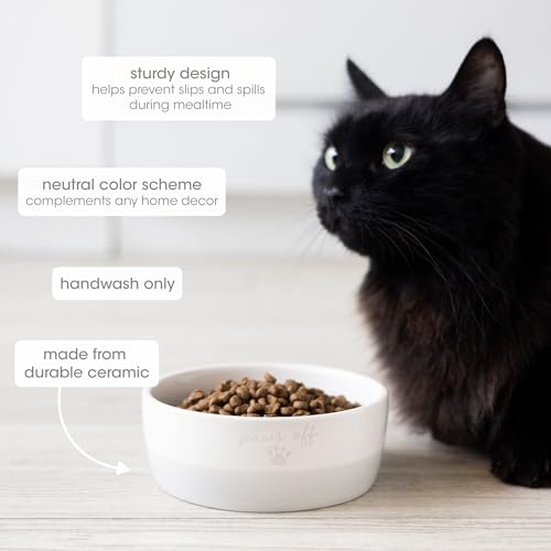 Pearhead Ceramic Paws Off Cat Bowl, Holds 12 oz, Whisker-Friendly Pet Dish for Food and Water, Heavy Non-Slip Base - color: Gray "Paws Off", size: Single Bowl