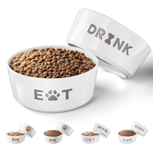 Ceramic Dog Bowl Set of 2 with Anti-Skid Base - 6.5" Wide x 2.5" Tall Ceramic Dog Bowls Medium Sized Dogs - 3.8 Cup Capacity Food and Water Bowls for Dogs - Rubber Bottom Pet Bowl Set of 2 Medium Size - color: Gray, size: Medium