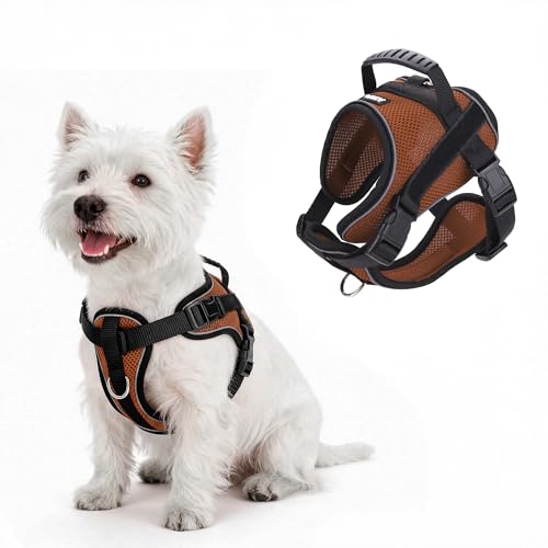 AIITLE No Pull Reflective Dog Harness with Handle - Soft Comfortable All Weather Mesh Breathable Adjustable Puppy Harness for Small Medium Dogs, Easy Control for Walking Running Camping (Brown，XS - color: Brown, size: XS