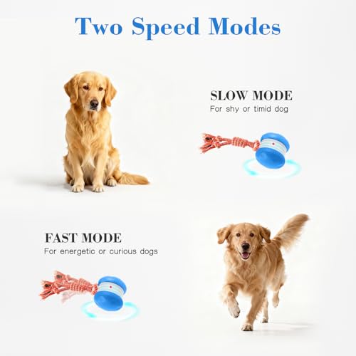 Interactive Dog Ball, Random Path Electric Automatic Moving and Rolling Dogs Toy with Rope for Small Medium Large Dogs, Motion-Activated Dog Stimulation Toy for Boredom Relief (Blue) - color: Blue