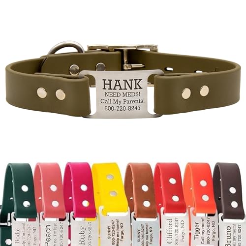 dogIDs Personalized Dog Collar – ScruffTag Custom Waterproof Biothane Dog Collar with Laser-Engraved Name, Durable & Odor-Resistant – USA Made | Sage, 1 in x 20 in (Fits Neck Sizes 18-22 in) - color: Sage, size: 1 in x 20 in (Fits Neck Sizes 18-22 in)