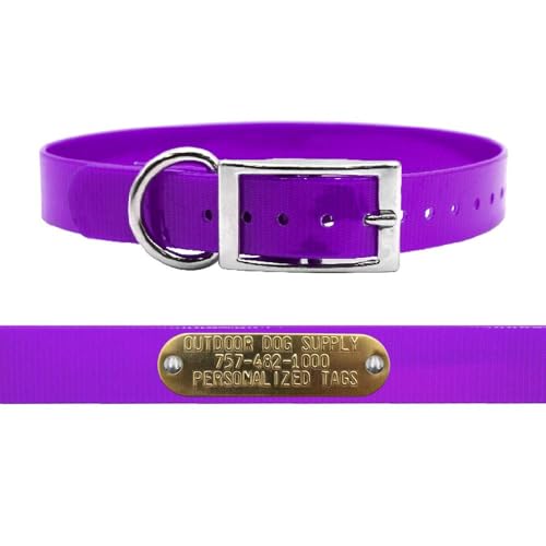 Outdoor Dog Supply 1" Heavy Duty Waterproof D-Ring Dog Collar for Medium & Large Dogs with Custom 3/4" Brass Nameplate (Purple, 18") - color: Purple, size: 18" Long