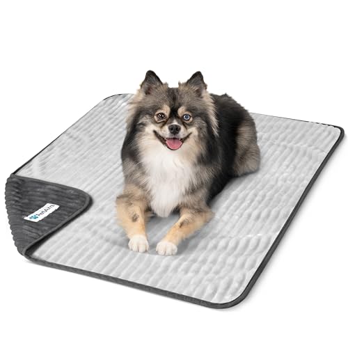 PetAmi Waterproof Dog Blanket, Leakproof Pet Blanket for Small Medium Large Dog, Reversible Furniture Bed Sofa Couch Cover Protector, Soft Striped Pet Throw for Indoor Cat, 29x40 in, Grey Light Gray - color: Grey/Light Gray, size: Medium (29x40)
