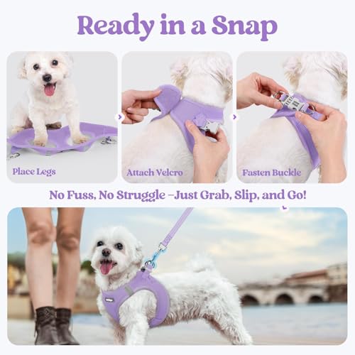 rabbitgoo Dog Harness Small Sized and Leash Set, Step in Soft Light Puppy Vest, Breathable Mesh Pet Harness, Reflective for Safe Easy Walking, Light Purple XXS - color: Light Purple, size: Xxs (chest: 12.4 - 14.2")
