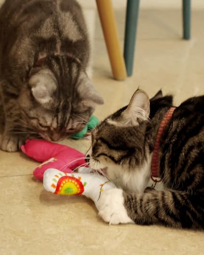 CiyvoLyeen Cactus Llama Catnip Toys 5Pcs Chew Interactive Toy for Cat Lover Cute Birthday Gift Indoor Kitty Bite Pet Supplies - color: Cactus Llama - 5Pcs