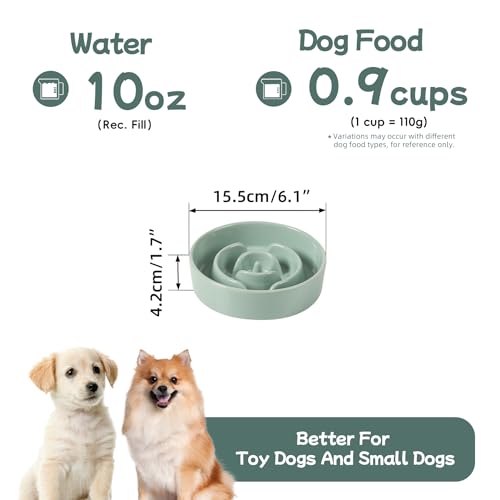 Havniva Ceramic Slow Feeder Dog Bowls, 0.9 Cups Dog Bowl Slow Feeding for Small Breed, 6.1inch Puzzle Dog Food Bowl Slow Feeder Non-Slip Anti-Gulping and Anti-Choking Reduces Bloating - color: 1 x Light Green-A, size: 6.1inch-New