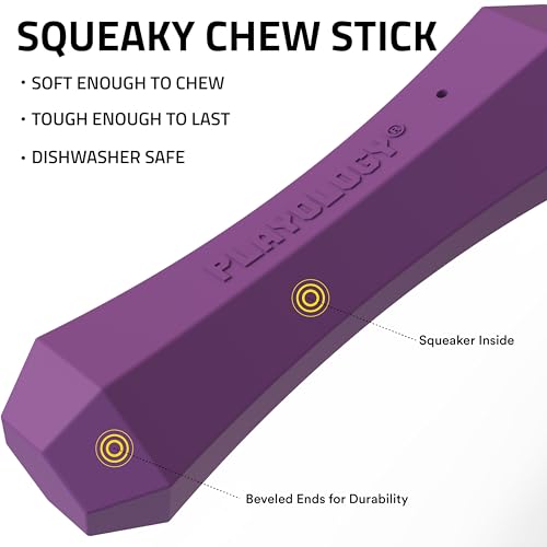 Playology Dog Toys | Squeaky Chew Stick for Dogs | Bacon Scented Medium Fetch Toy | Squeaky Dog Chew Toy - size: Medium, style: Bacon