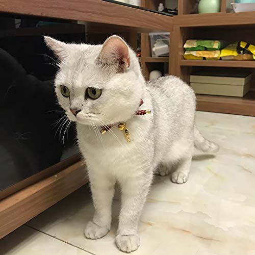 Cute Bowtie Cat Collar with Bell. Japanese Stylish Bowknot & Fish Charm. Safety Breakaway, Soft, Lightweight, for Girl Boy Male Female Cats Kitten,Navy Blue - color: Navy Blue, size: Medium (8-12 inches)