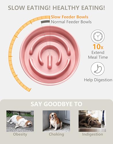 Ceramic Slow Feeder Dog Bowls, 0.6 Cup Slow Feeder for Small Dogs, Puzzle Maze Bowl, Prevents Choking, 6in, Pink - color: Pink, size: 6 Inches