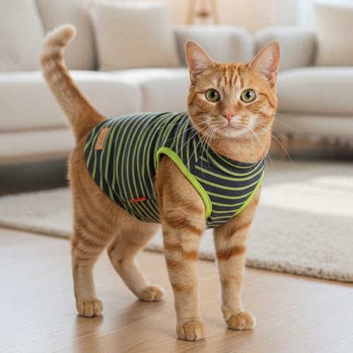 KYEESE 2Pack Cat Sweater Warm Pet Coats Soft Dog Puppy Sweaters for Small Dogs Turtleneck Small Pets Sweaters Stretchy Dogs Clothes Pullover Pet Sweatshirt - color: 4# Stripe+Green, size: Medium (7-11lbs)
