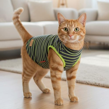KYEESE 2Pack Cat Sweater Warm Pet Coats Soft Dog Puppy Sweaters for Small Dogs Turtleneck Small Pets Sweaters Stretchy Dogs Clothes Pullover Pet Sweatshirt - color: 4# Stripe+Green, size: Medium (7-11lbs)