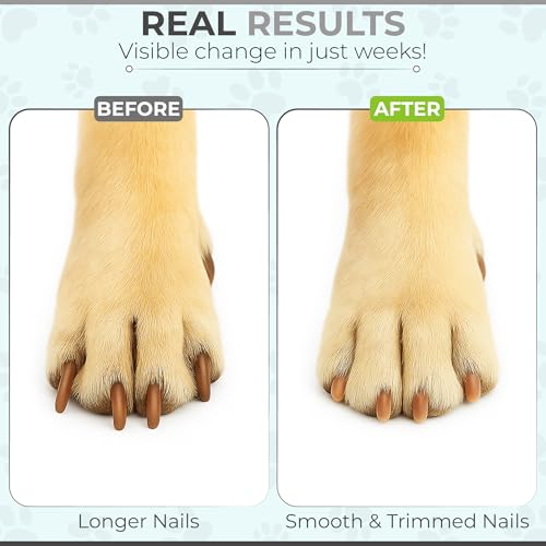 Dog Scratch Board for Nails – Dog Nail Scratch Pad with 2 Extra Sandpapers & Training Guide – Safe Dog Nail File Board for Natural Trimming – Dog Nail Board for All Sizes (Small 15.7in * 9.8in) - size: Small (15.7in * 9.8in)