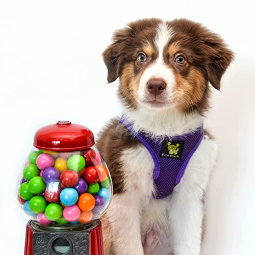 EcoBark Dog Harness - Luxurious Soft Mesh - Eco-Friendly Over The Head Vest Harness - No Pull & No Choke Design - Padded Breathable Body Halter - color: Purple