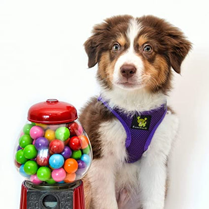 EcoBark Dog Harness - Luxurious Soft Mesh - Eco-Friendly Over The Head Vest Harness - No Pull & No Choke Design - Padded Breathable Body Halter - color: Purple